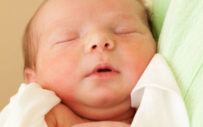 How a Professional Surrogacy Agency can Help Facilitate the Process of a Surrogate Pregnancy